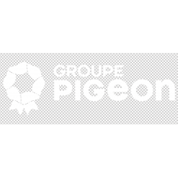 Stickers véhicule - 60 X 24...