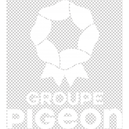 Stickers véhicule - 40 X 36...