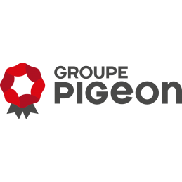 Stickers véhicule - 6 X 20...